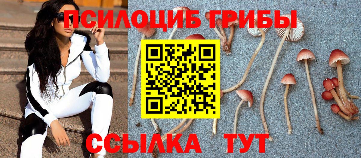 Галлюциногенные грибы мицелий  Вход с VPN  Стрежевой 